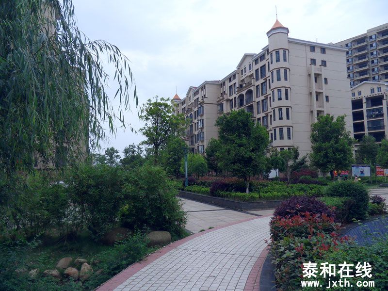 SDC10018.jpg