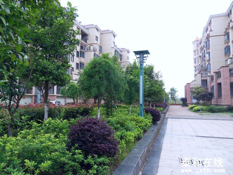 SDC10020.jpg