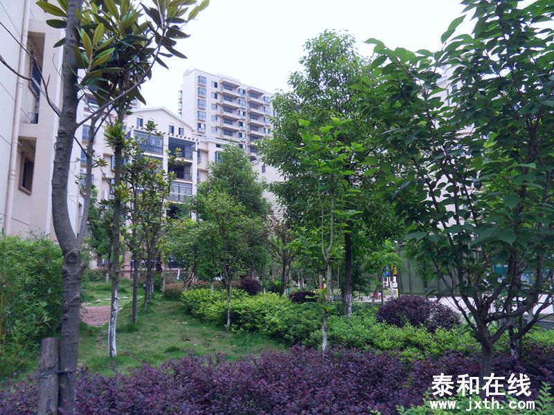 SDC10022.jpg