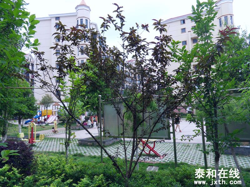 SDC10030.jpg