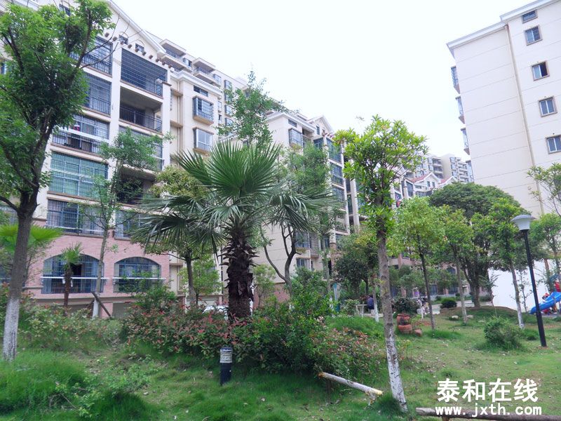 SDC10032.jpg