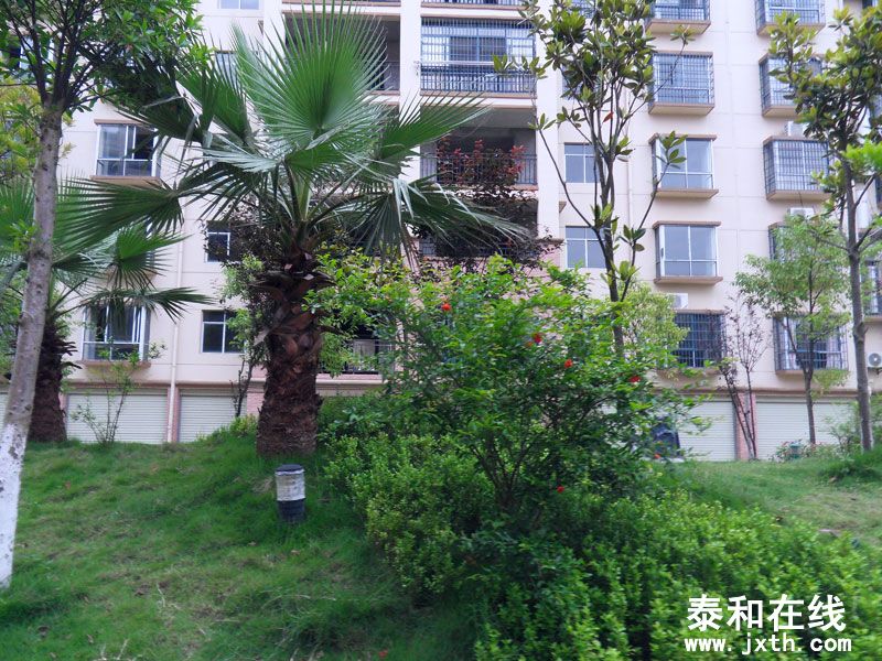 SDC10033.jpg