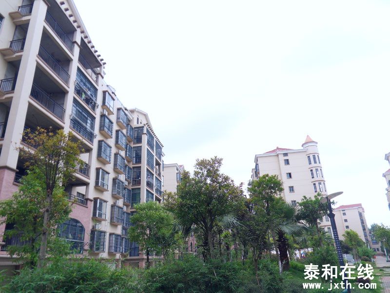 SDC10035.jpg