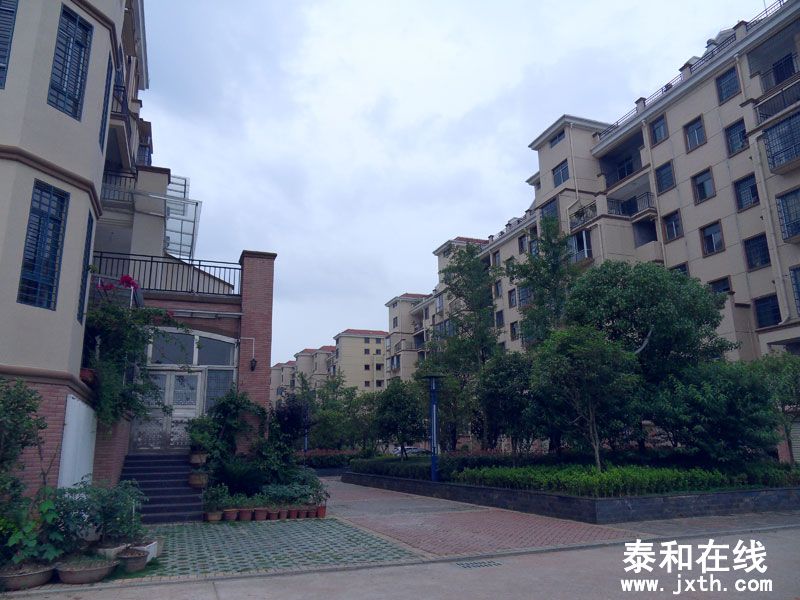 SDC10038.jpg