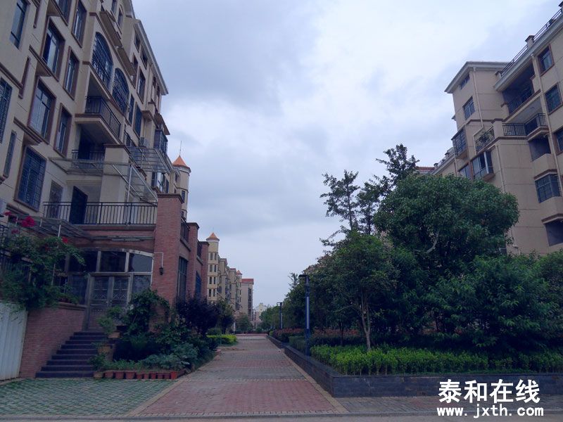 SDC10039.jpg