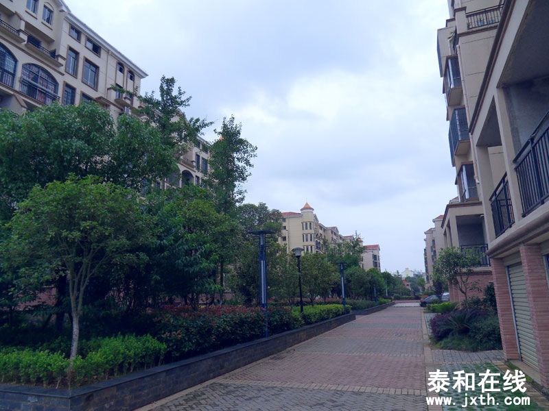 SDC10041.jpg