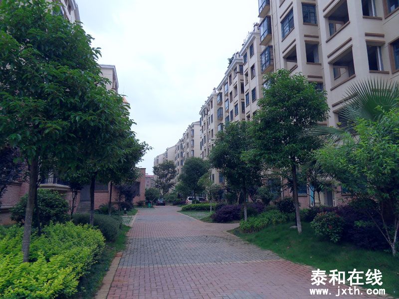 SDC10042.jpg