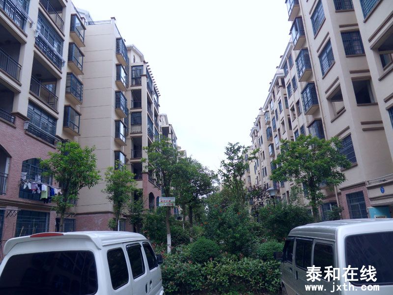 SDC10043.jpg