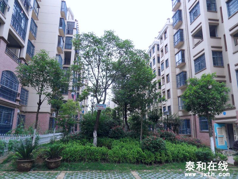 SDC10044.jpg