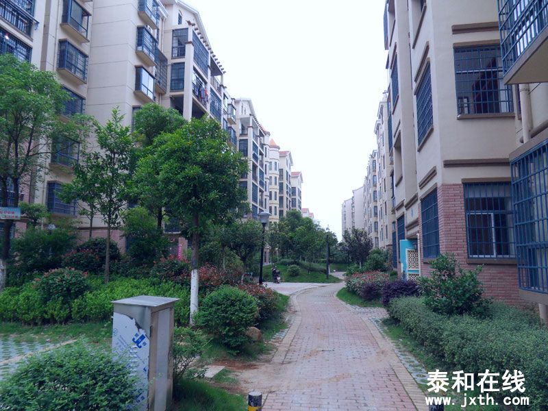 SDC10045.jpg