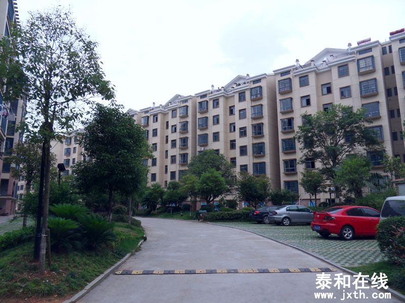 SDC10047.jpg