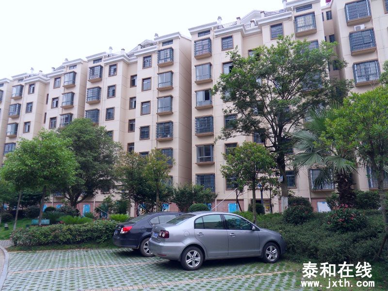 SDC10048.jpg