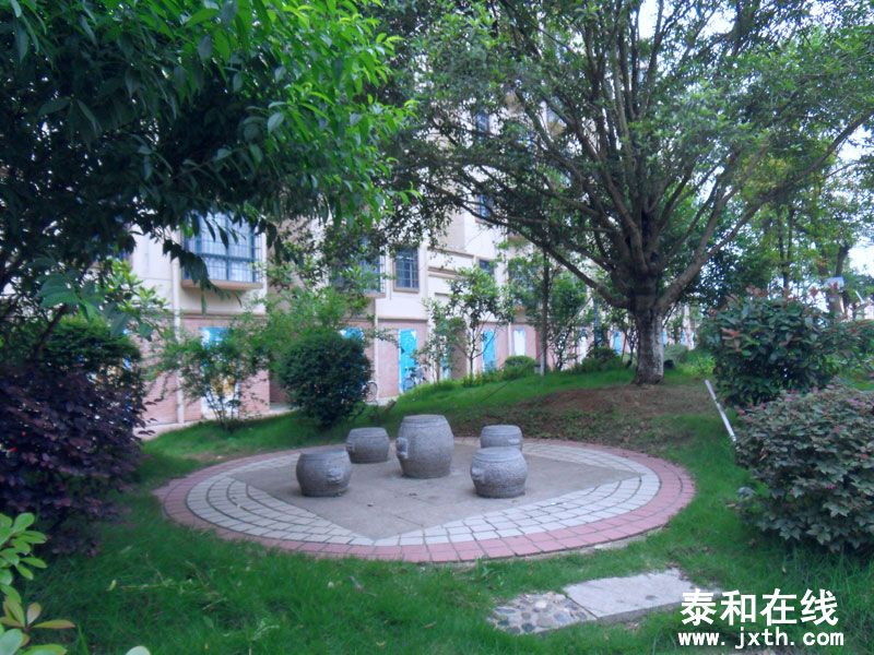 SDC10050.jpg