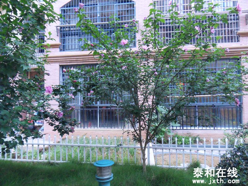 SDC10057.jpg