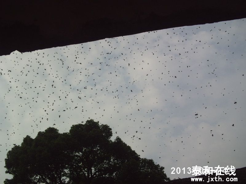 psb16813156288495658227.jpg