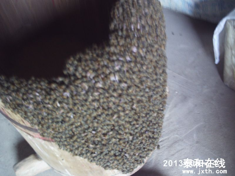 psb9620997030407186243.jpg