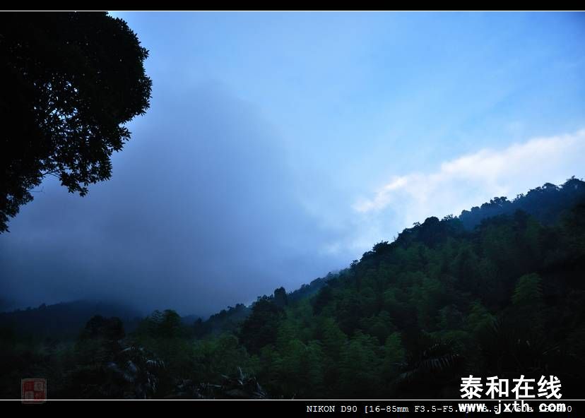 DSC_0379.jpg