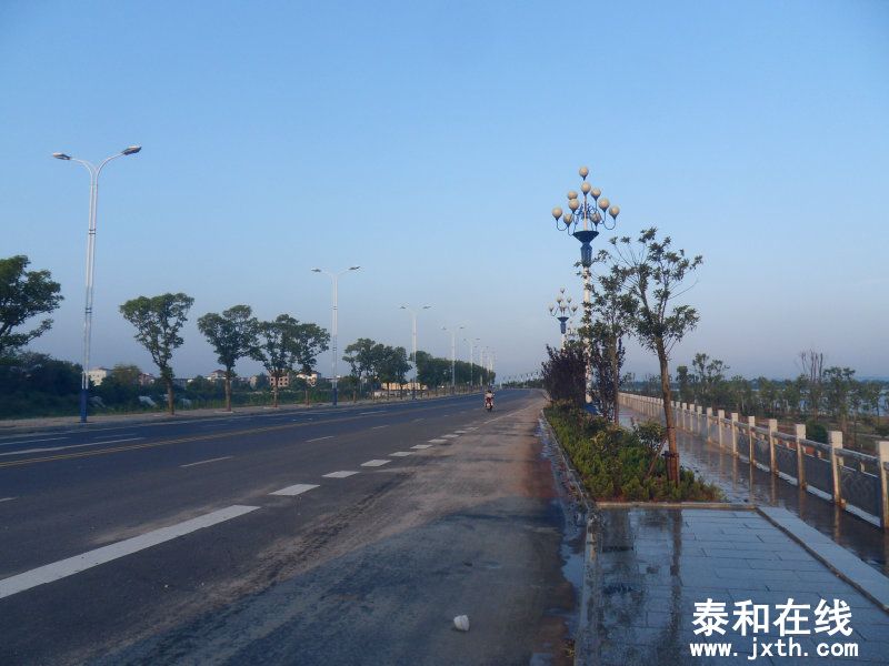 sdc10305.jpg