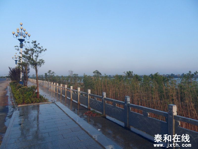 sdc10306.jpg
