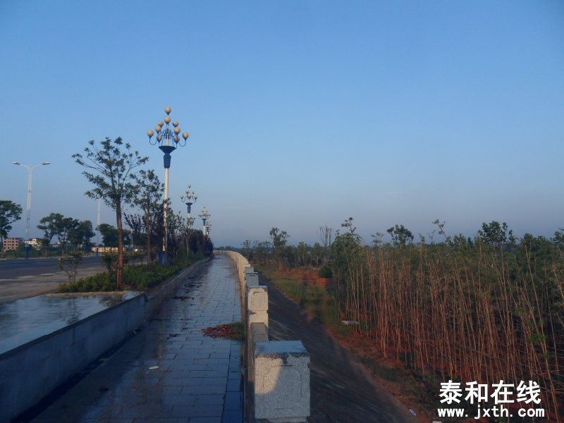 sdc10307.jpg