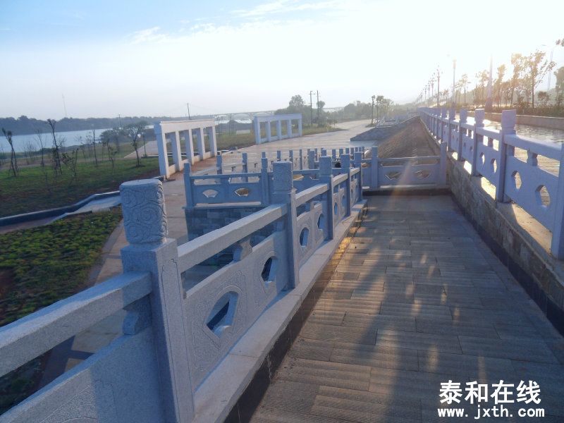 sdc10308.jpg