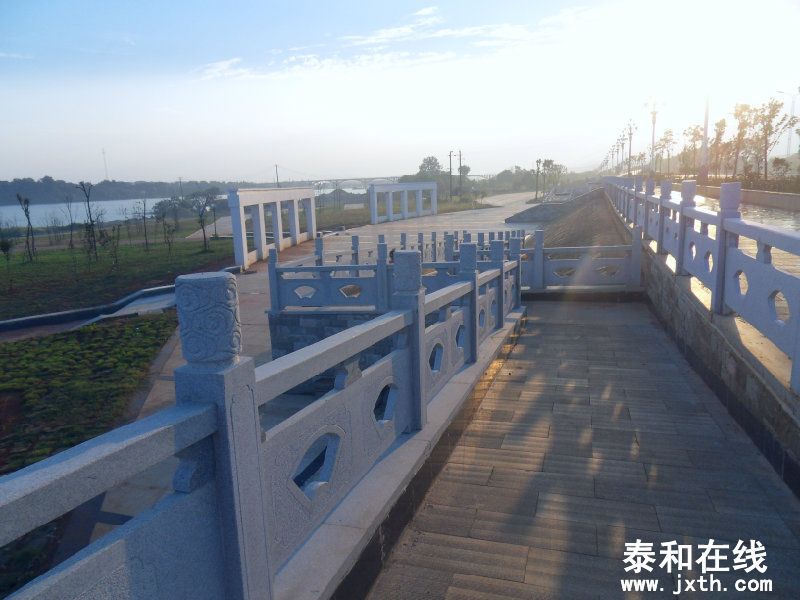 sdc10309.jpg