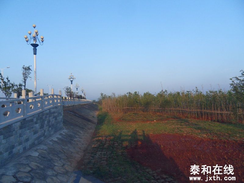 sdc10310.jpg