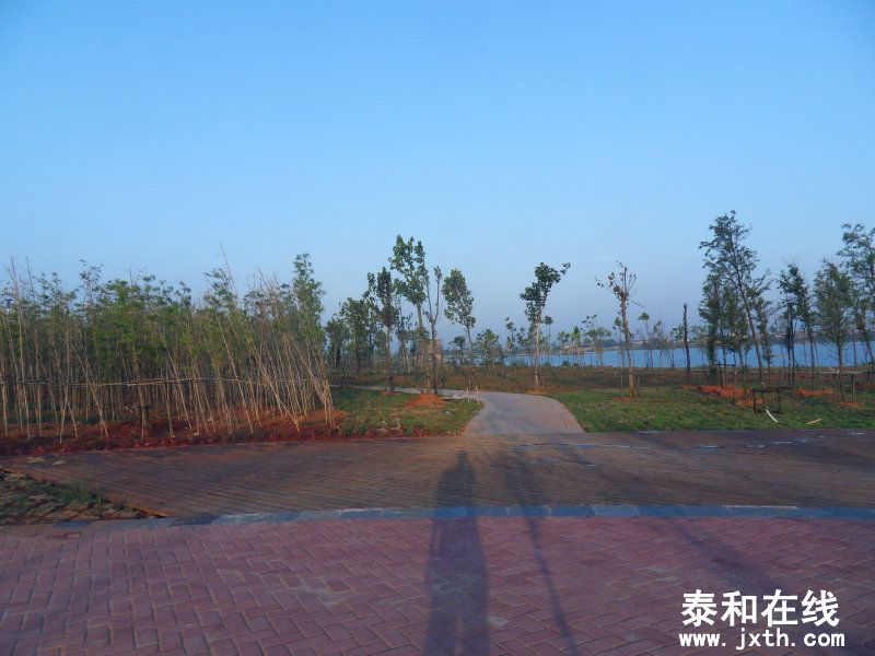 sdc10312.jpg