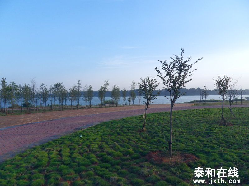 sdc10313.jpg