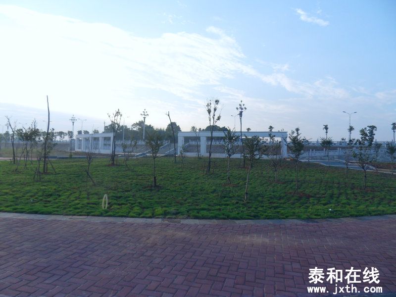 sdc10314.jpg