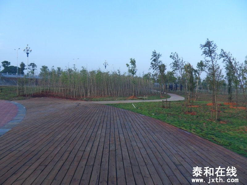 sdc10316.jpg