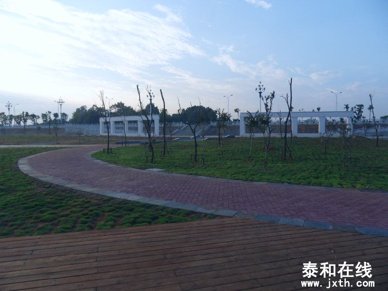 sdc10317.jpg