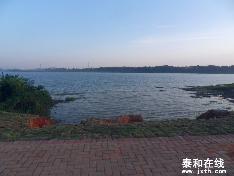 sdc10319.jpg