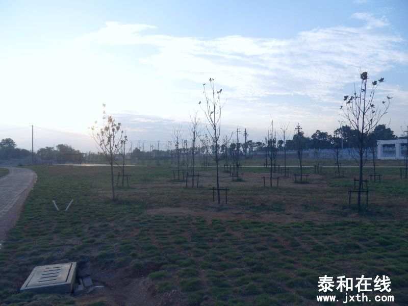 sdc10320.jpg