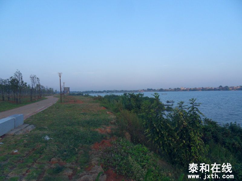sdc10321.jpg