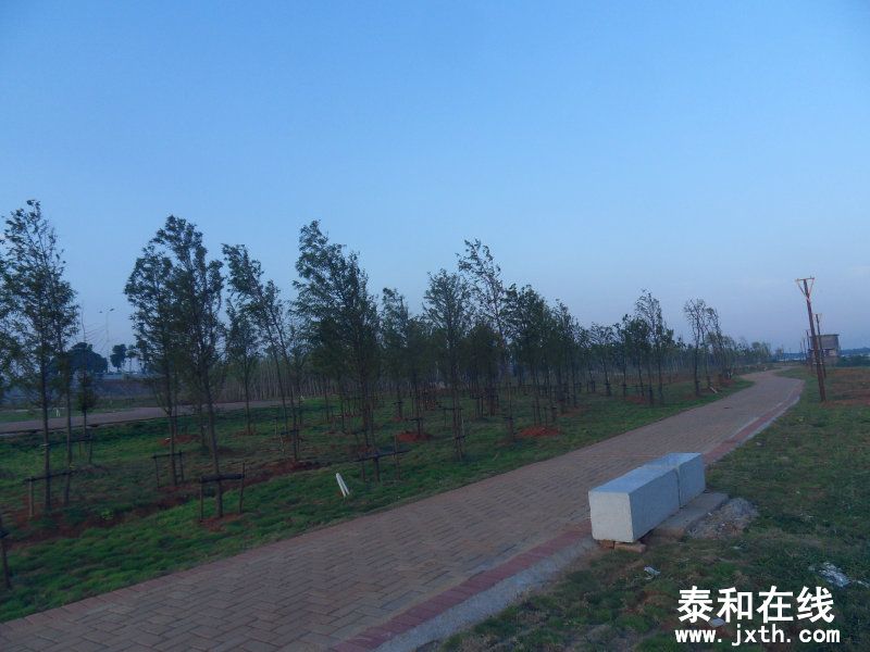 sdc10324.jpg