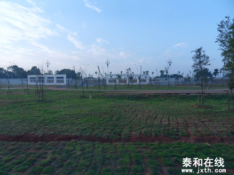 sdc10325.jpg
