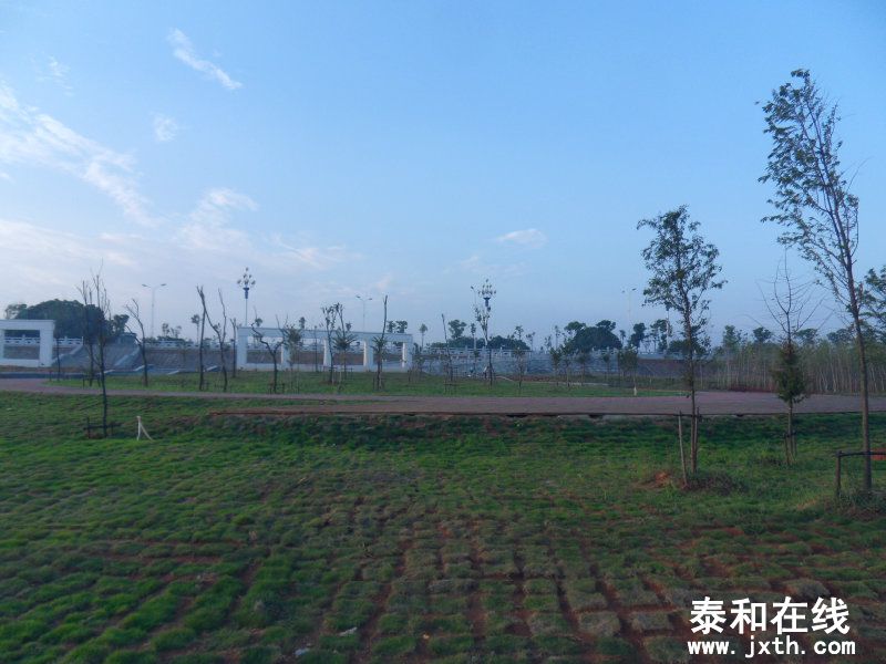 sdc10328.jpg