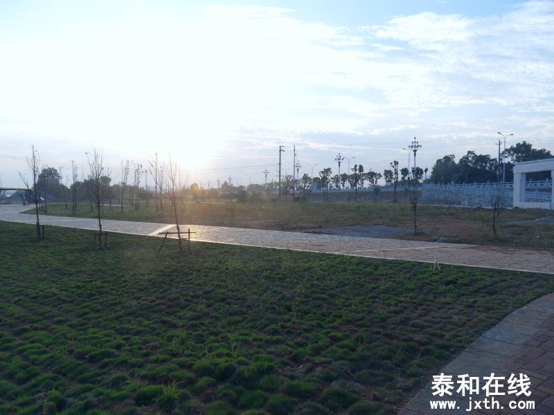 sdc10329.jpg