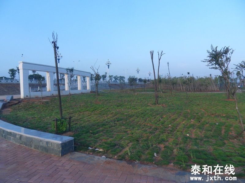 sdc10331.jpg