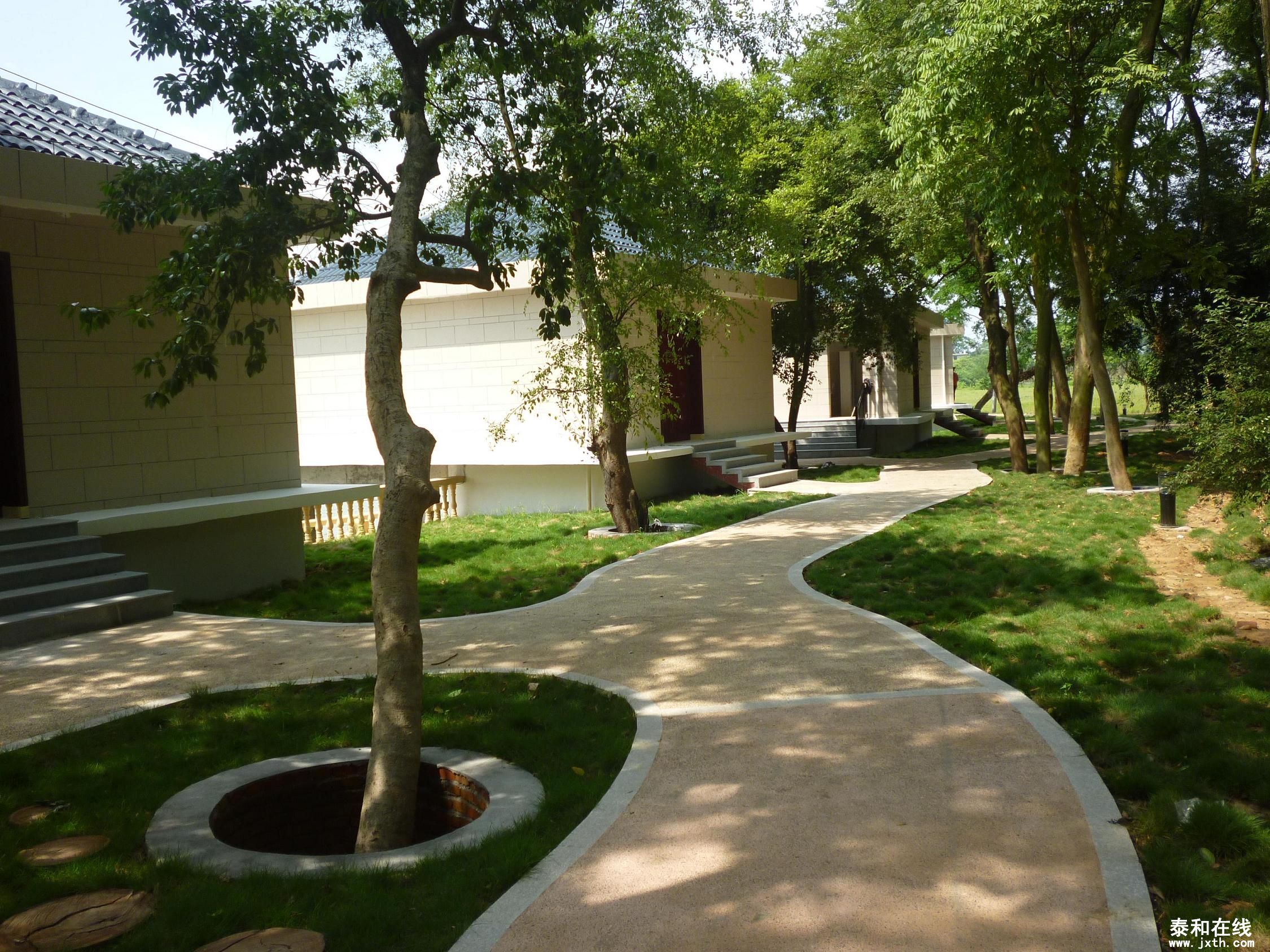 P1040936.JPG