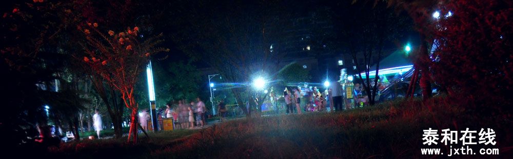 SDC10421.jpg
