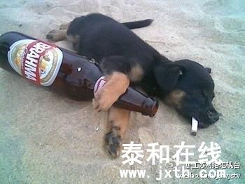 6b0e1e9djw1e6c1tmn9d5j209q07at8x.jpg
