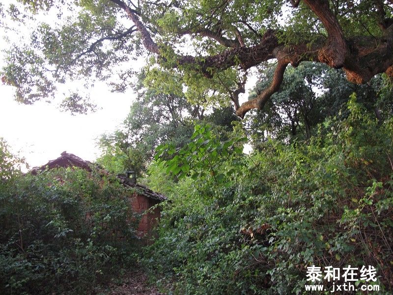 15)IMG_0713.jpg