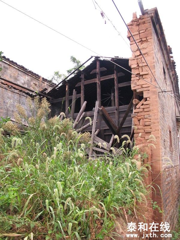 61)IMG_0833.jpg