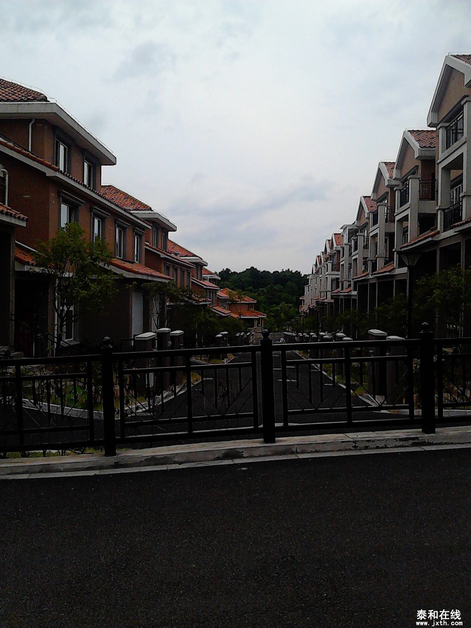 IMG_20130816_133254.jpg