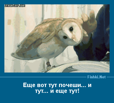 04_dem.gif