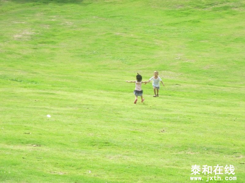 014.JPG