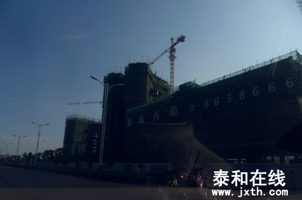 SDC10450.jpg