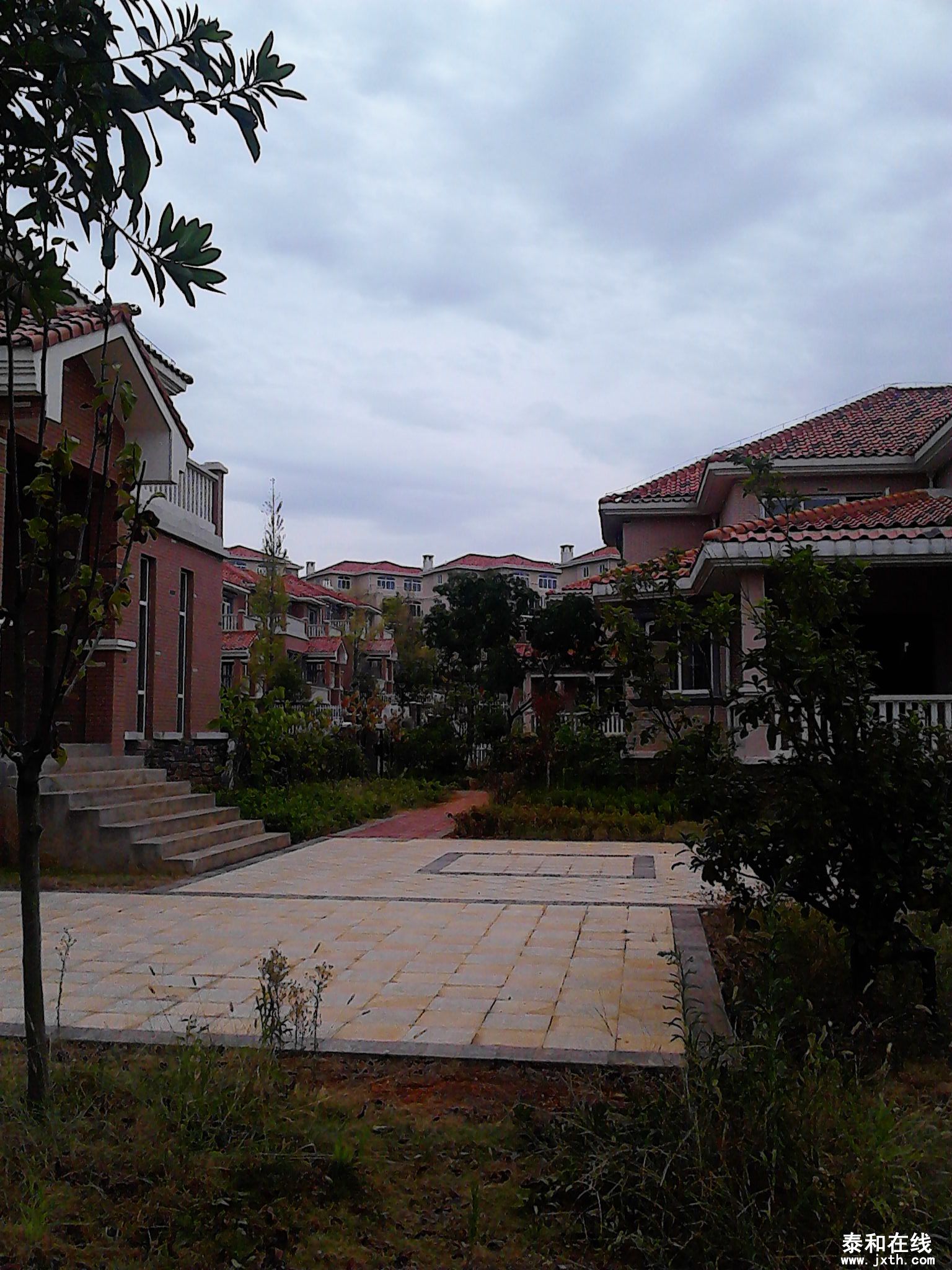 IMG_20130816_132905.jpg